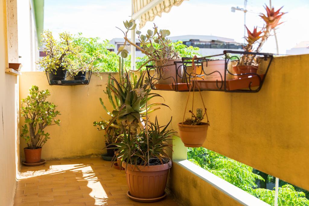 Sa Mama E Su Sole Apartment อาลเกโร ภายนอก รูปภาพ